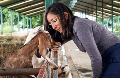 From Factory Farms to Finding Sanctuary