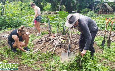 Roots of Resilience: Corcovado Foundation Restores 4,000 Trees in Costa Rica’s Rainforests