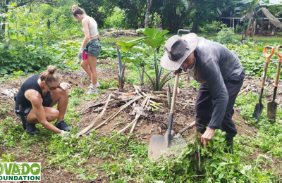 Roots of Resilience: <em>Corcovado Foundation Restores 4,000 Trees in Costa Rica’s Rainforests</em>