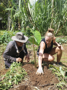 Corcovado Foundation volunteers plant trees to restore Costa Rica's rainforests