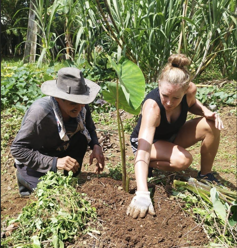 Corcovado Foundation volunteers plant trees to restore Costa Rica's rainforests